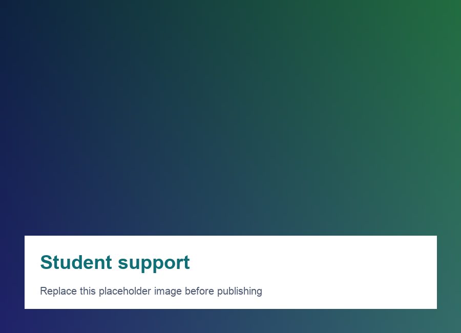 Students using examination support services